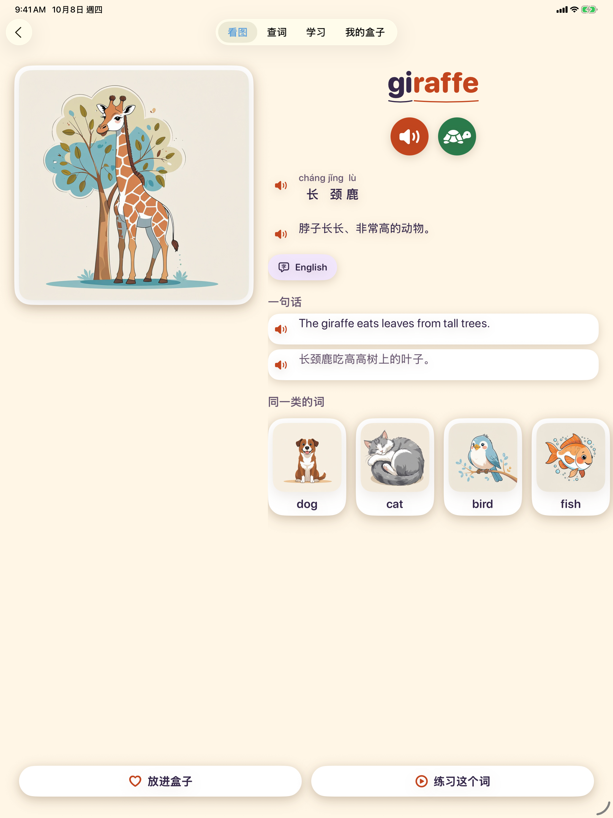 iPad 上的词卡