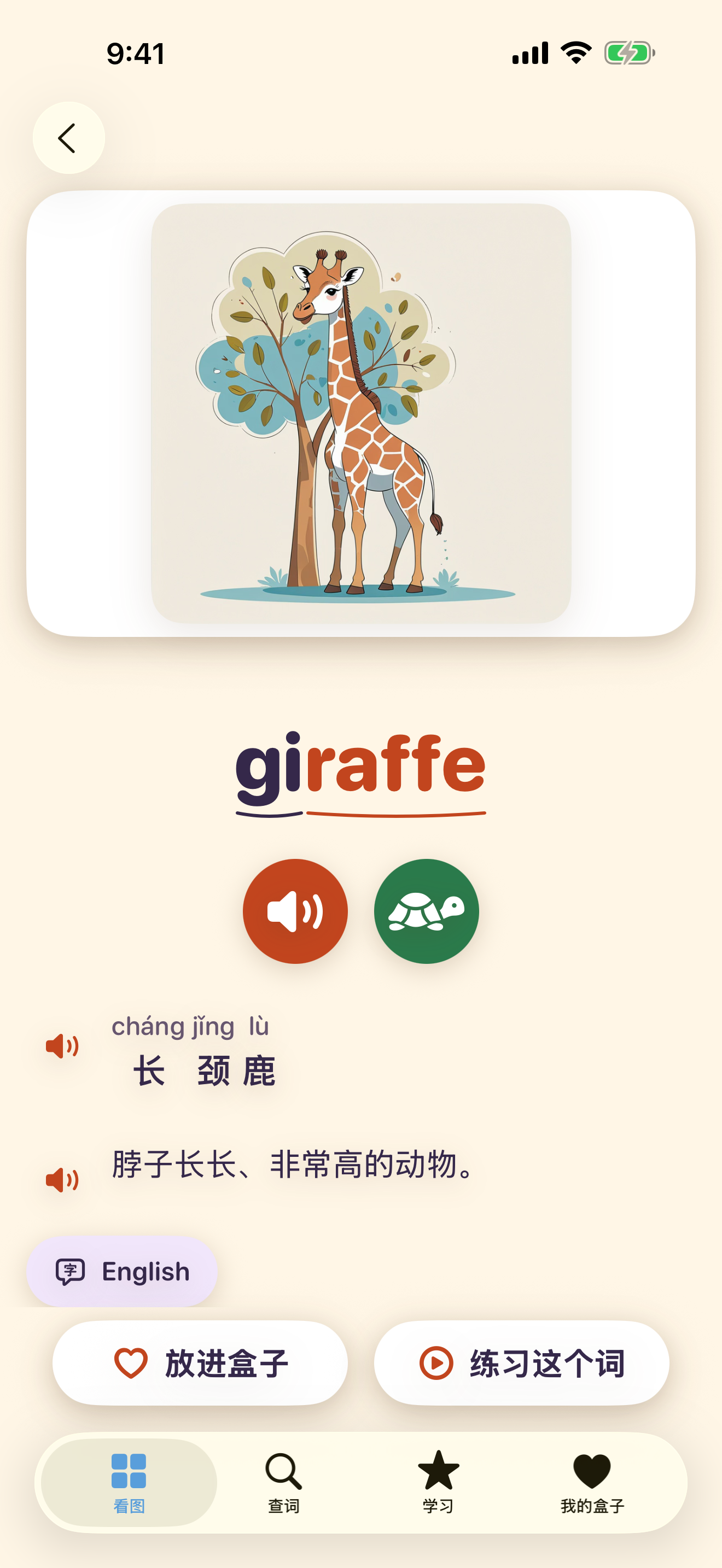 同一张词卡，在 iPhone 上